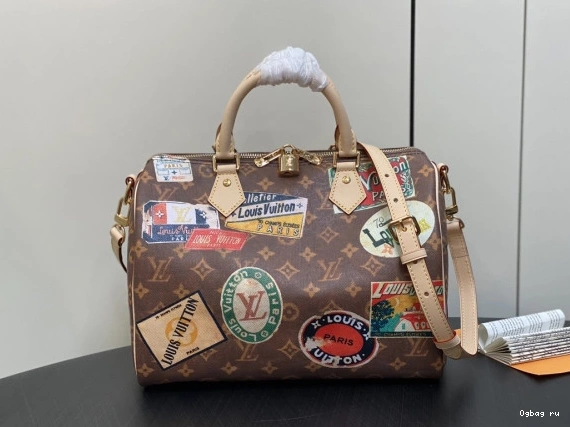 Louis SPEEDY BANDOULIERE 30 Vuitton 0803